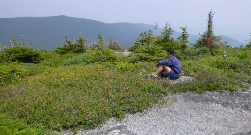 A person sits amid green shrubs with a mountain in the background. 
